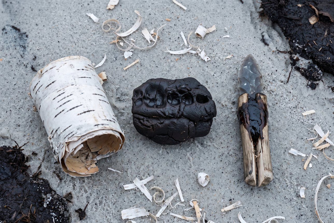 Xylitol for teeth — chewed Stone Age birch bark tar with tooth impressions, birch bark curl and a hafted flint blade on coastal sand