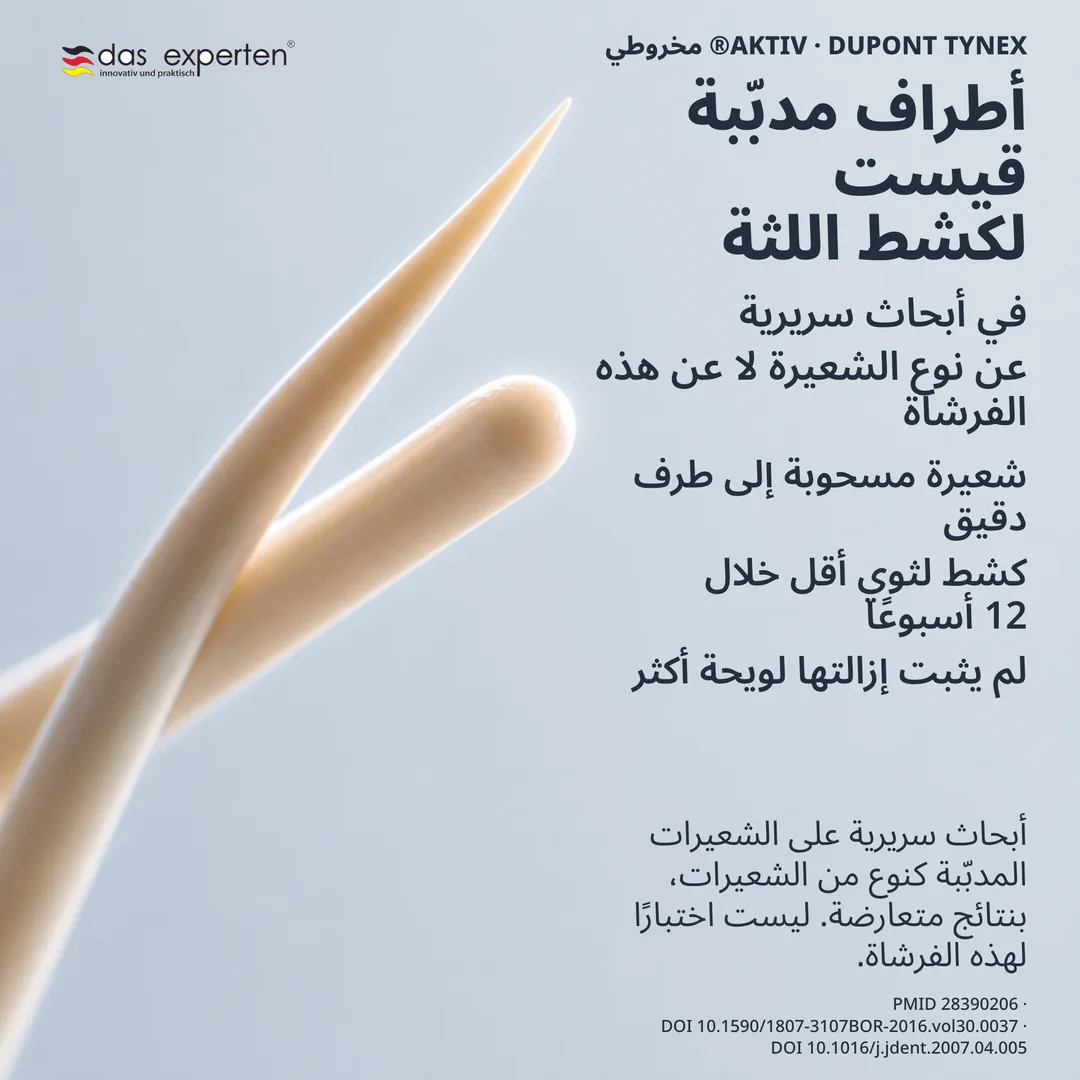 دراسة هندسة الشعيرة: قطاع طرف مدبّب بجوار طرف مستدير، رسمان تخطيطيان بمقياس غير واقعي