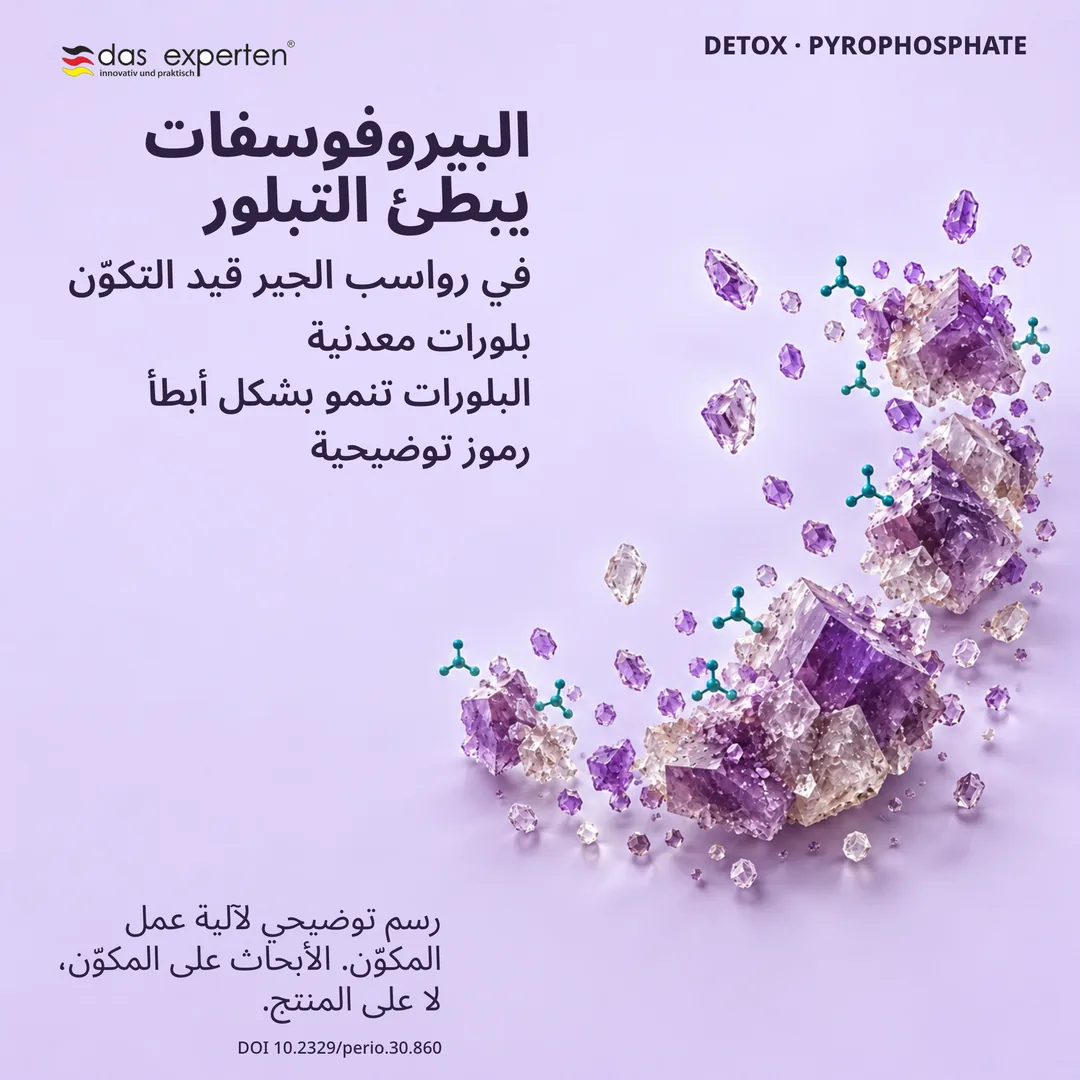 رسم توضيحي لبلورات معدنية في رواسب الجير قيد التكوّن: البيروفوسفات يبطئ نمو البلورات