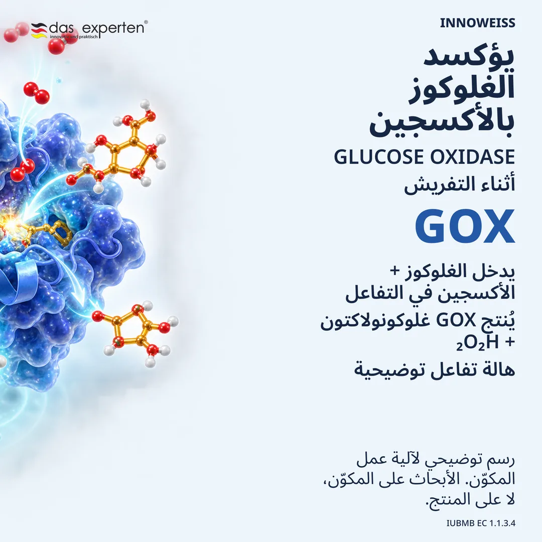 رسم توضيحي لأكسيداز الغلوكوز يحوّل الغلوكوز والأكسجين إلى غلوكونولاكتون وفوق أكسيد الهيدروجين
