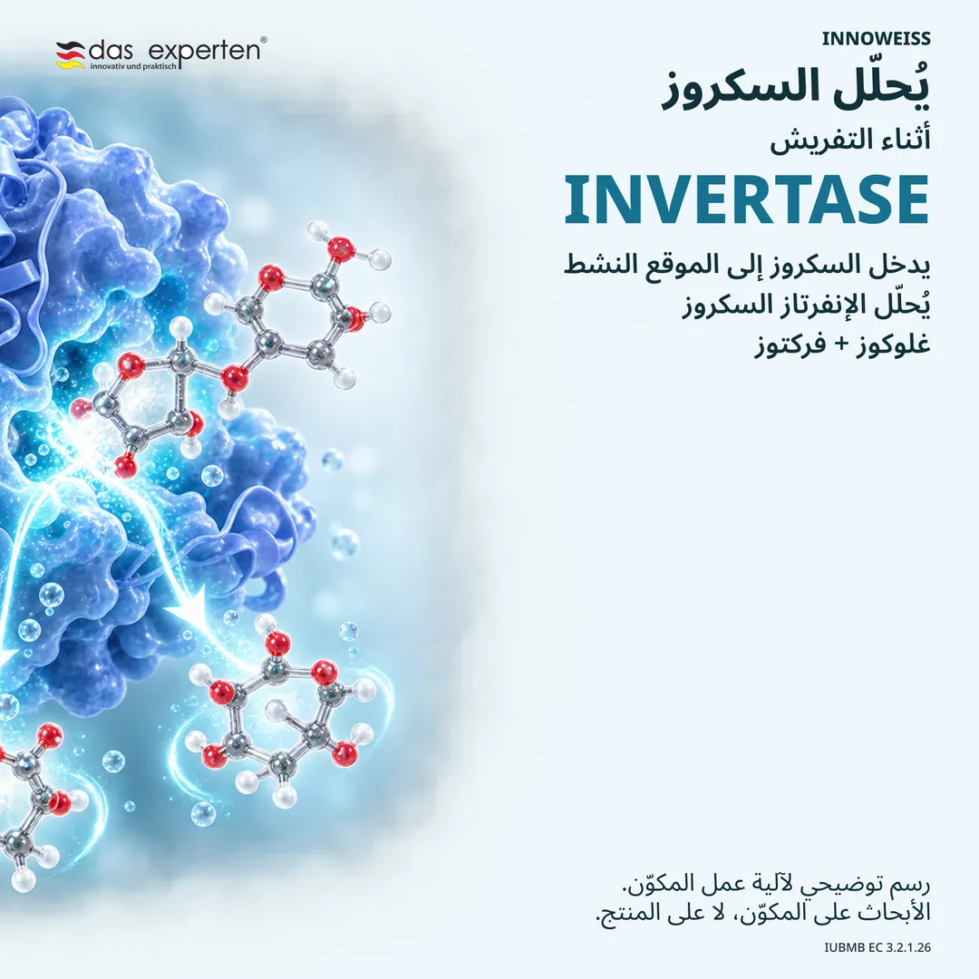 رسم توضيحي للإنفرتاز يحلّل السكروز إلى غلوكوز وفركتوز أثناء التفريش