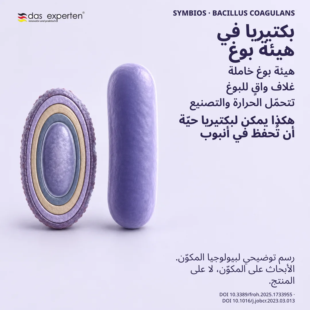 رسم توضيحي لبوغ خامل بغلافه الواقي إلى جانب خلية نشطة، توضيح لبيولوجيا المكوّن