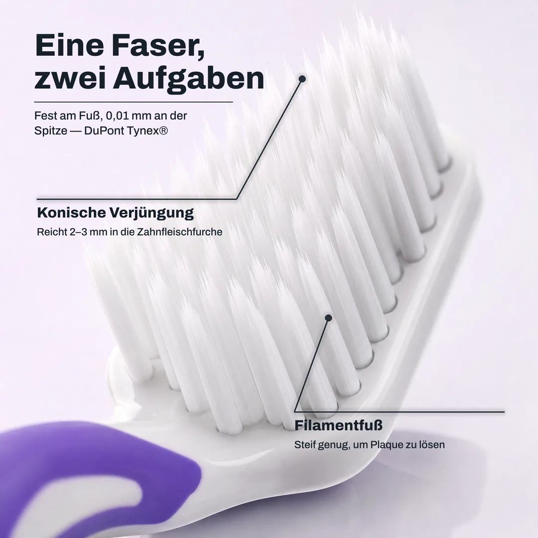 Eine Faser, zwei Aufgaben — Fest am Fuß, 0,01 mm an der Spitze — DuPont Tynex® · Konische Verjüngung: Reicht 2–3 mm in die Zahnfleischfurche · Filamentfuß: Steif genug, um Plaque zu lösen