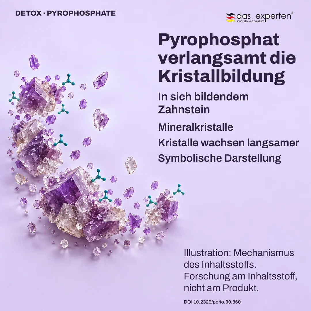 Illustration: Mineralkristalle in sich bildendem Zahnstein wachsen mit Pyrophosphat langsamer