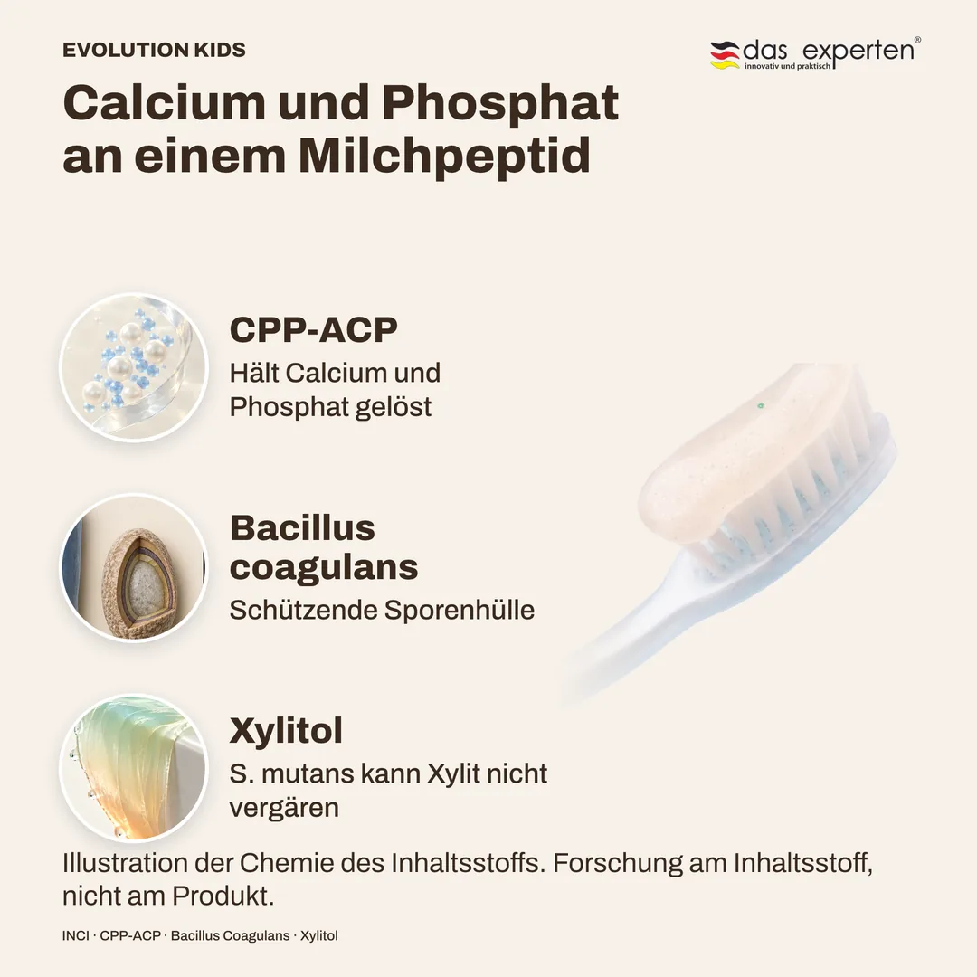 Calcium und Phosphat an einem Milchpeptid · Bacillus coagulans · Xylitol