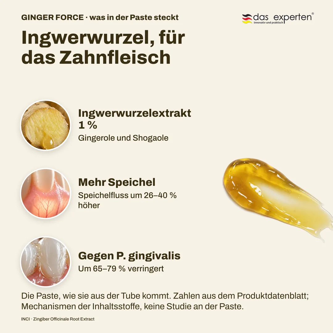 Ingwerwurzel, für das Zahnfleisch — Ingwerwurzelextrakt 1 %; Mehr Speichel; Gegen P. gingivalis
