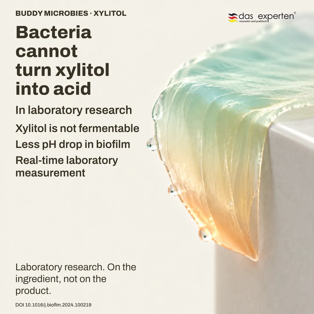 Illustration of a laboratory pH reading in a biofilm: with xylitol the pH falls less. Research on the ingredient