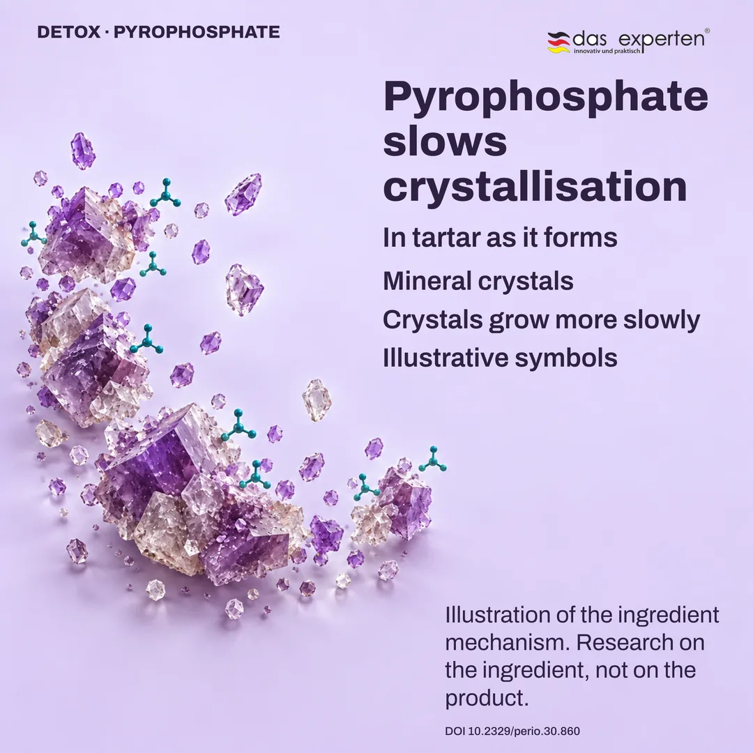 Illustration of mineral crystals in forming tartar growing more slowly with pyrophosphate