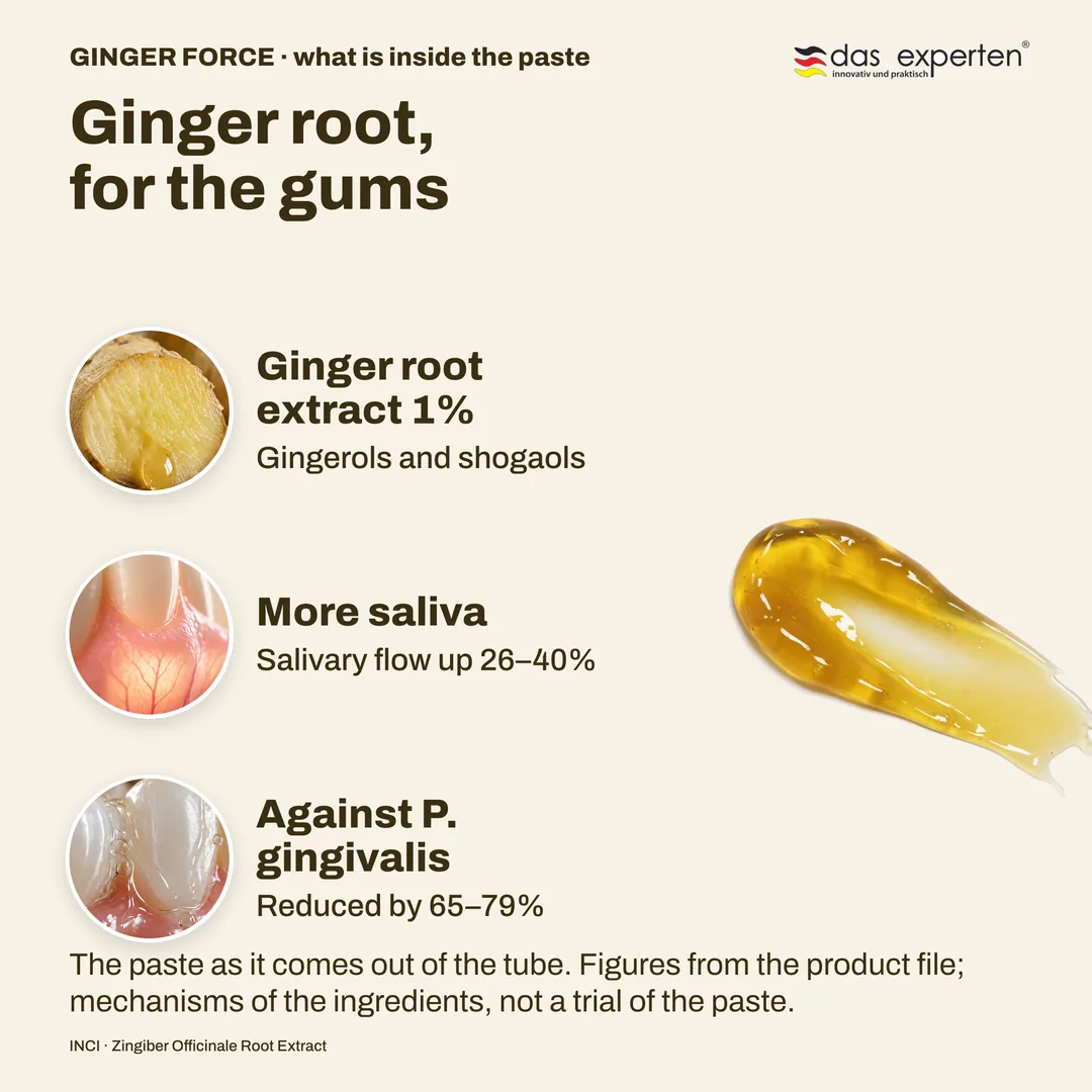 GINGER FORCE toothpaste texture: golden paste with 1% ginger root extract, salivary flow up 26–40%, P. gingivalis down 65–79%