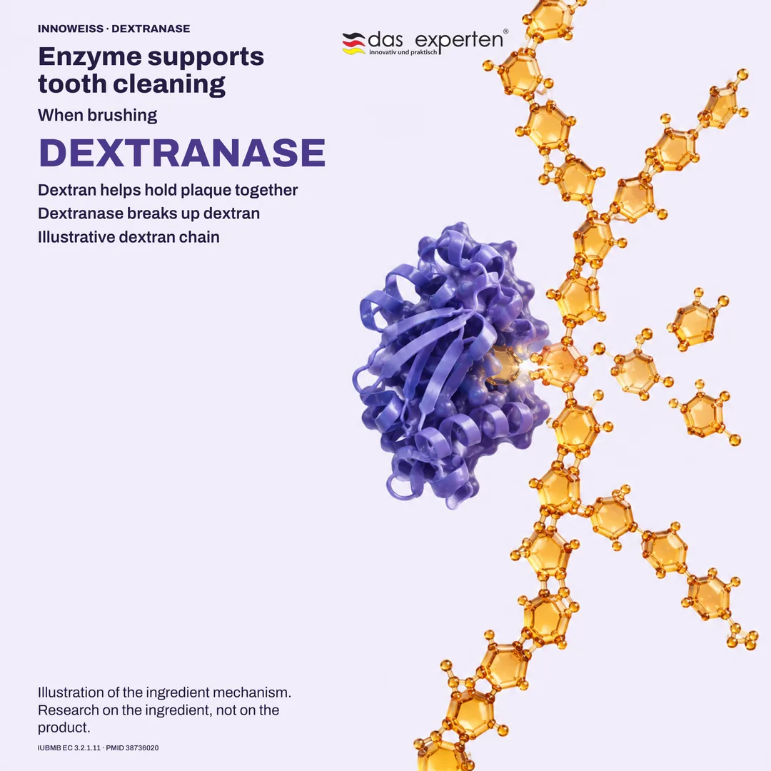 Illustration of dextranase breaking up a dextran chain in plaque: an enzyme that supports tooth cleaning when brushing