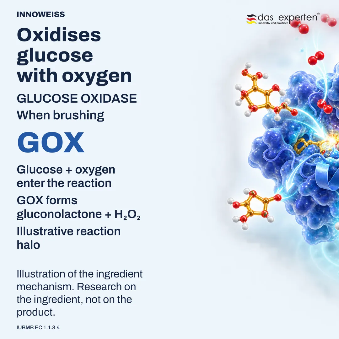 Illustration of glucose oxidase converting glucose with oxygen into gluconolactone and hydrogen peroxide during brushing