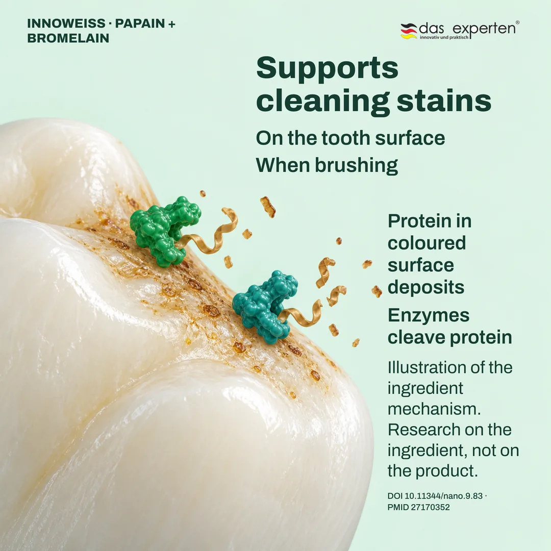 Illustration of enzymes cleaving protein in coloured surface deposits on a tooth: supports cleaning stains when brushing