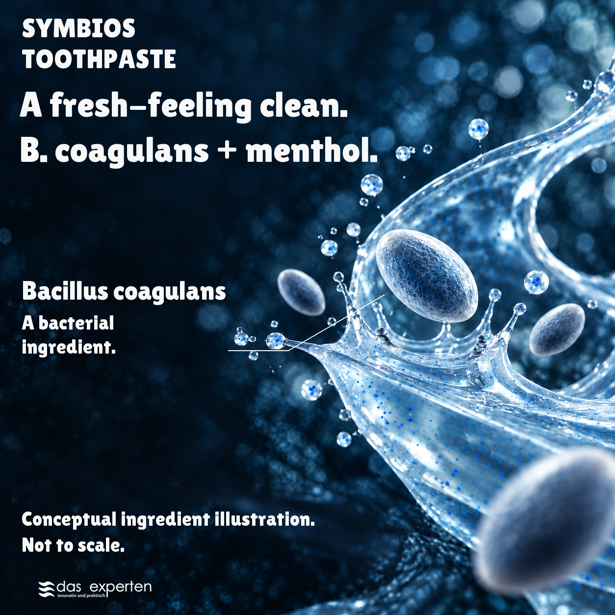 SYMBIOS · A fresh-feeling clean. · B. coagulans + menthol. · Conceptual ingredient illustration. · Not to scale.