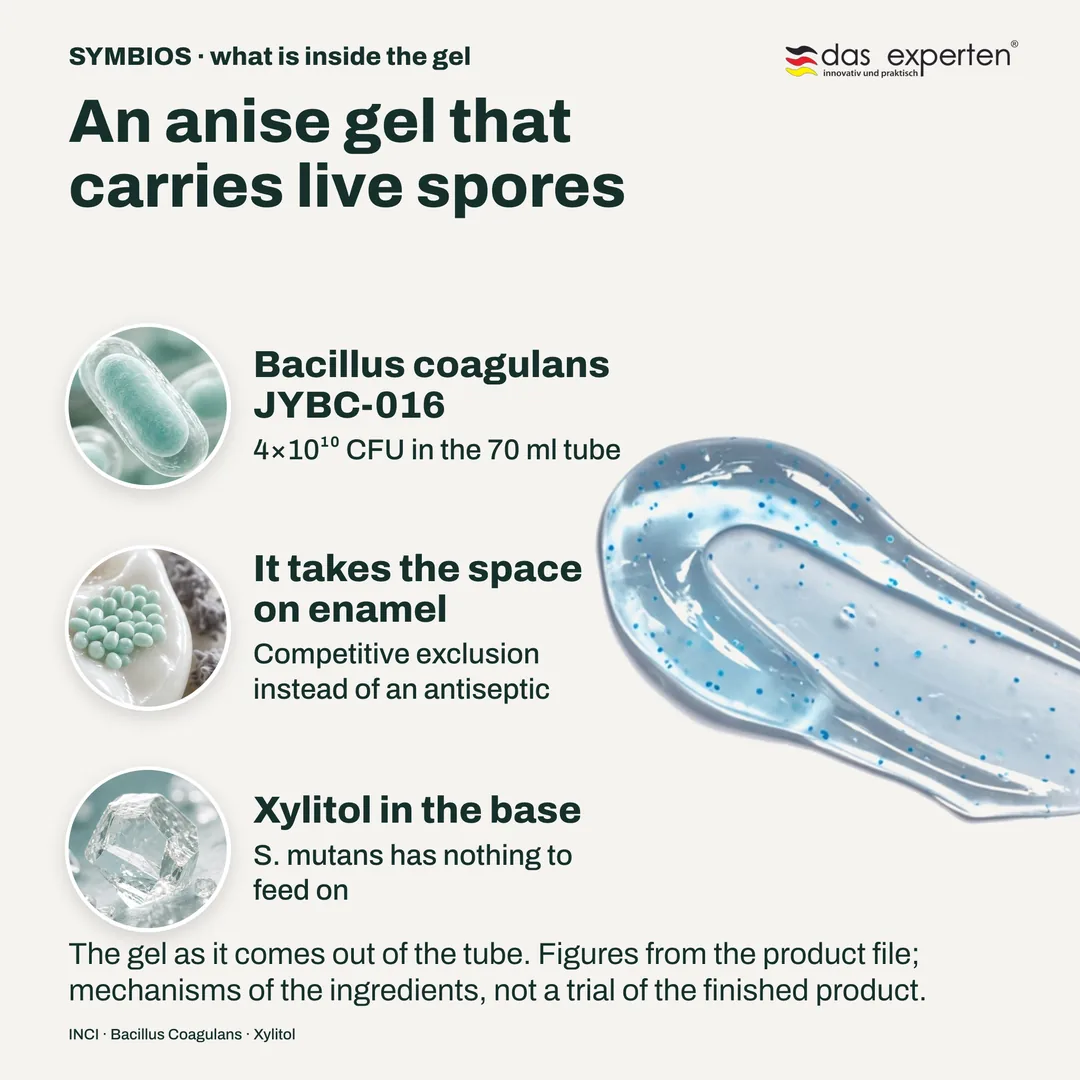SYMBIOS toothpaste texture: anise gel with live Bacillus coagulans spores, 4×10¹⁰ CFU in the 70 ml tube, xylitol in the base