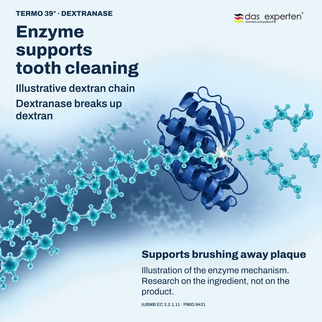 Illustration of dextranase breaking up a dextran chain: an enzyme that supports tooth cleaning and brushing away plaque