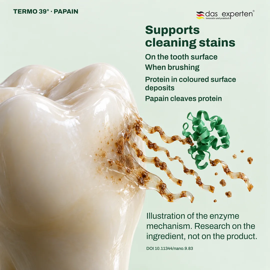 Illustration of papain cleaving protein in coloured surface deposits on a tooth: supports cleaning stains when brushing