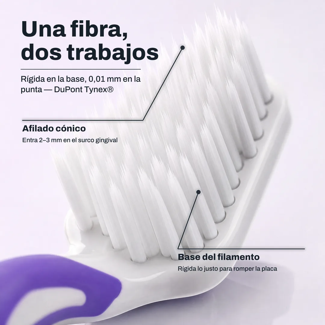 Una fibra, dos trabajos — Rígida en la base, 0,01 mm en la punta — DuPont Tynex® · Afilado cónico: Entra 2–3 mm en el surco gingival · Base del filamento: Rígida lo justo para romper la placa