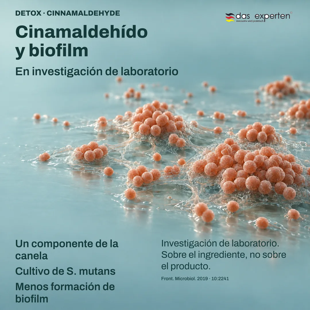 Ilustración de un cultivo de S. mutans que forma menos biofilm con cinamaldehído, componente de la canela, en laboratorio