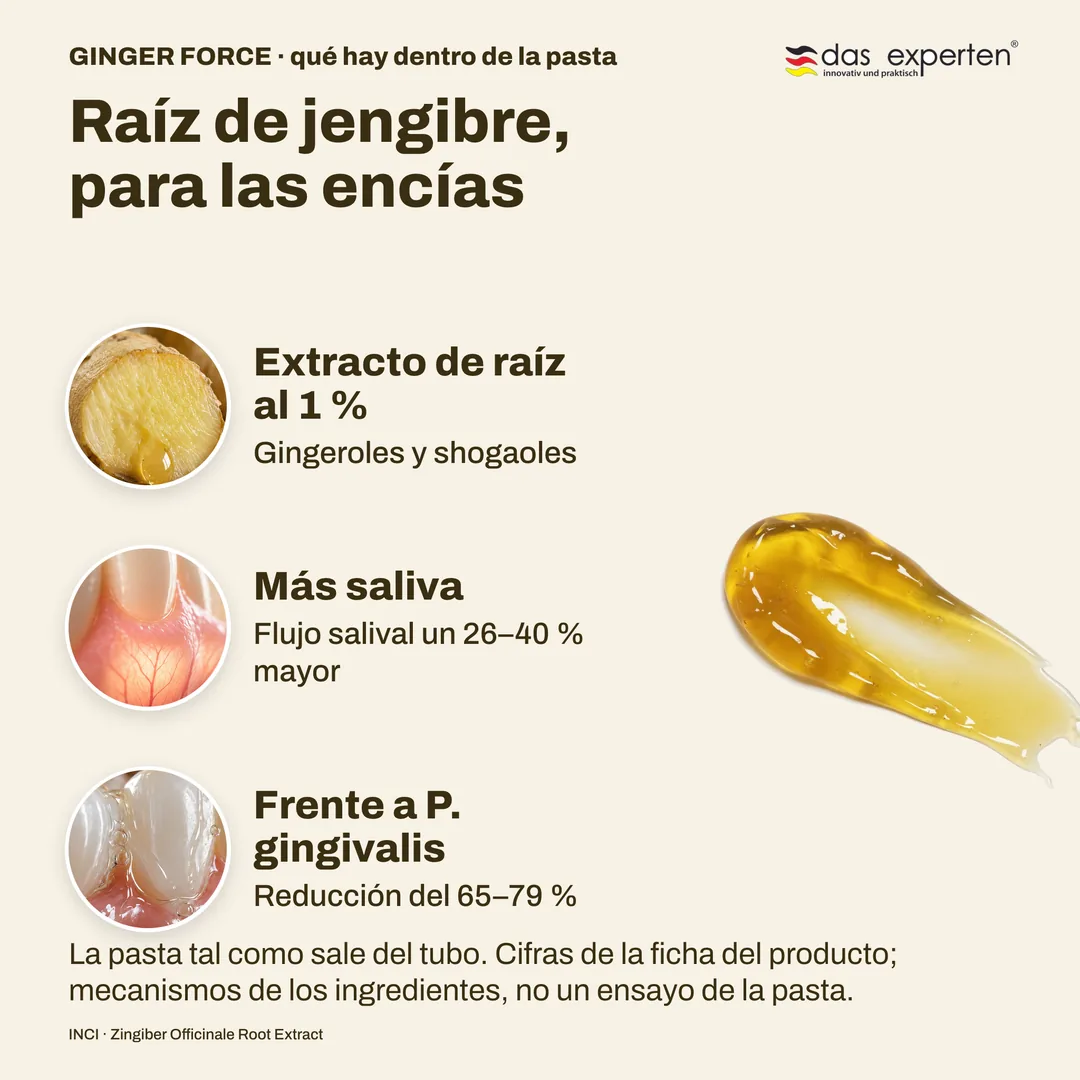 Raíz de jengibre, para las encías — Extracto de raíz al 1 %; Más saliva; Frente a P. gingivalis