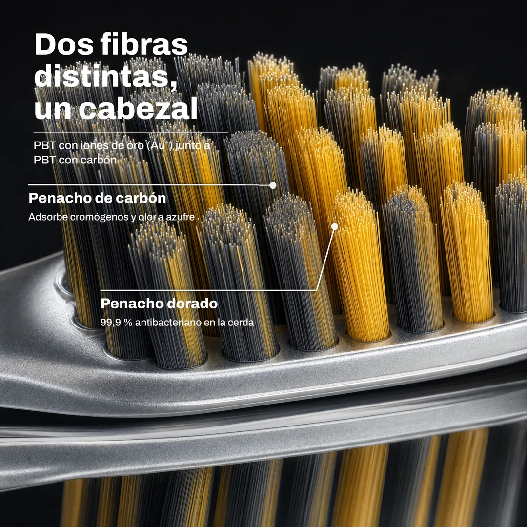 Dos fibras distintas, un cabezal — PBT con iones de oro (Au⁺) junto a PBT con carbón · Penacho dorado: 99,9 % antibacteriano en la cerda · Penacho de carbón: Adsorbe cromógenos y olor a azufre