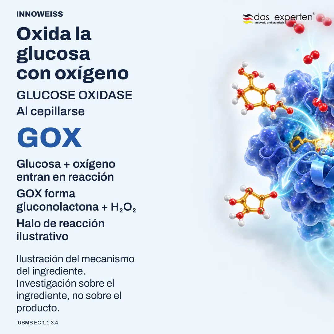 Ilustración de la glucosa oxidasa transformando glucosa y oxígeno en gluconolactona y peróxido de hidrógeno
