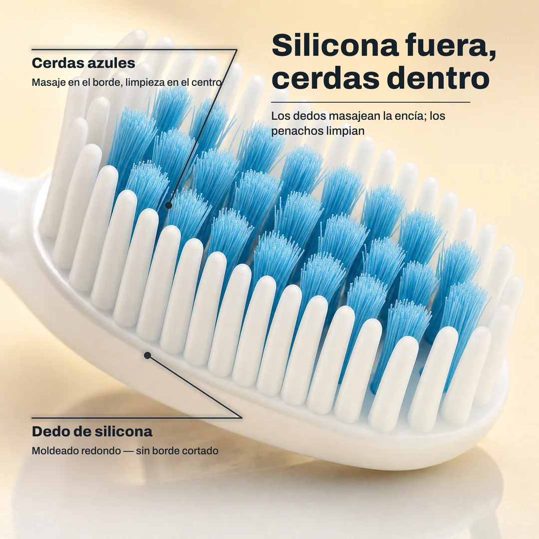 Silicona fuera, cerdas dentro — Los dedos masajean la encía; los penachos limpian · Dedo de silicona: Moldeado redondo — sin borde cortado · Cerdas azules: Masaje en el borde, limpieza en el centro