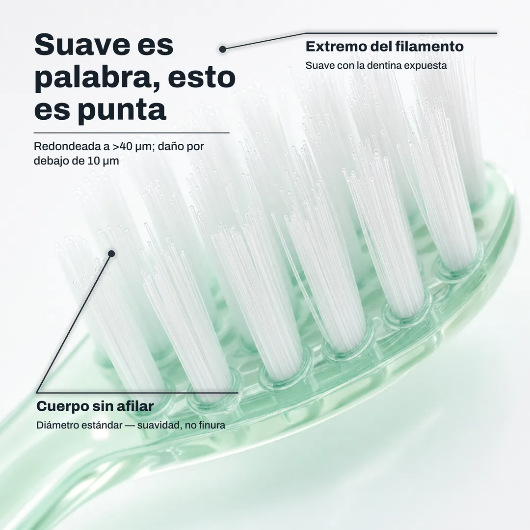 Suave es palabra, esto es punta — Redondeada a >40 μm; daño por debajo de 10 μm · Extremo del filamento: Suave con la dentina expuesta · Cuerpo sin afilar: Diámetro estándar — suavidad, no finura