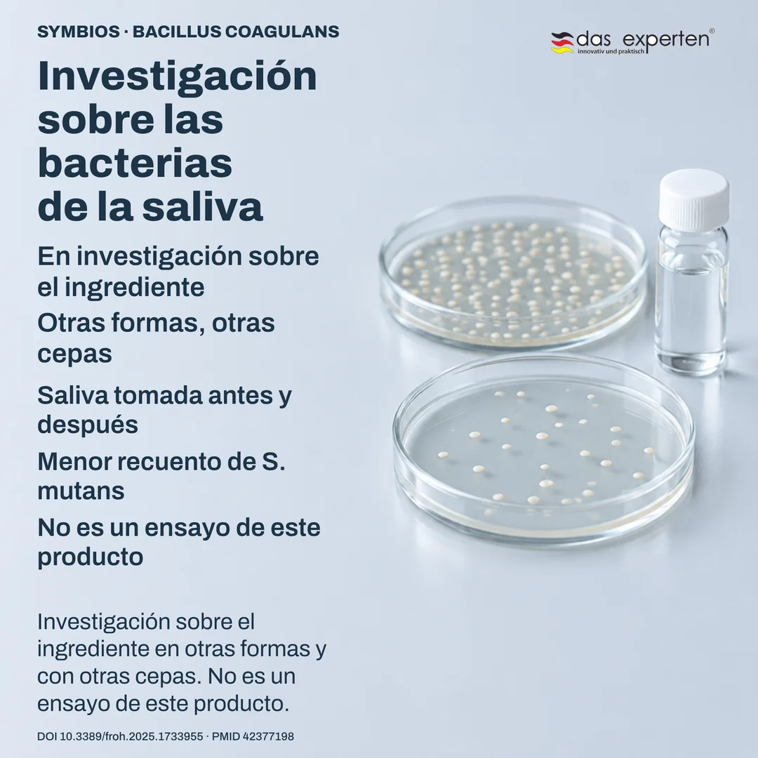 Escena de laboratorio: muestras de saliva y placas de cultivo rotuladas — investigación sobre el ingrediente, no sobre este producto