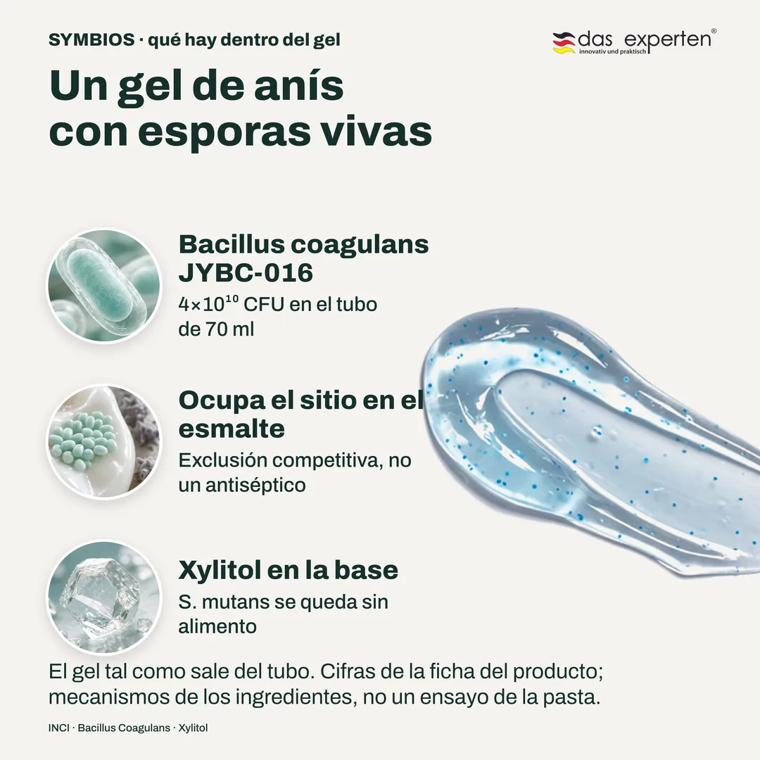 Un gel de anís con esporas vivas — Bacillus coagulans JYBC-016; Ocupa el sitio en el esmalte; Xylitol en la base