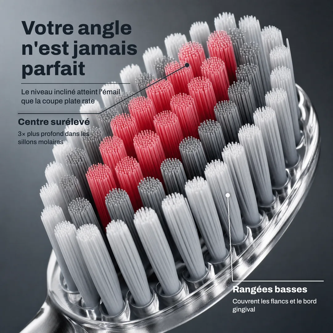Votre angle n'est jamais parfait — Le niveau incliné atteint l'émail que la coupe plate rate · Centre surélevé: 3× plus profond dans les sillons molaires · Rangées basses: Couvrent les flancs et le bord gingival