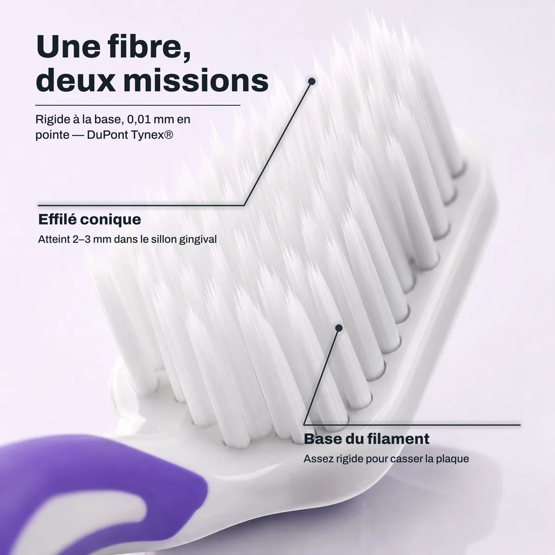 Une fibre, deux missions — Rigide à la base, 0,01 mm en pointe — DuPont Tynex® · Effilé conique: Atteint 2–3 mm dans le sillon gingival · Base du filament: Assez rigide pour casser la plaque