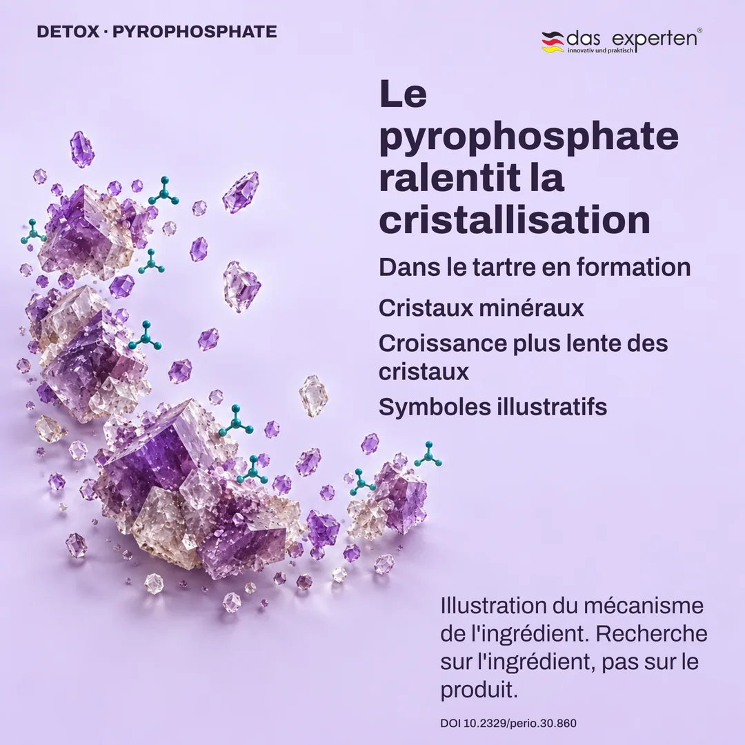 Illustration de cristaux minéraux du tartre en formation qui grandissent plus lentement avec le pyrophosphate