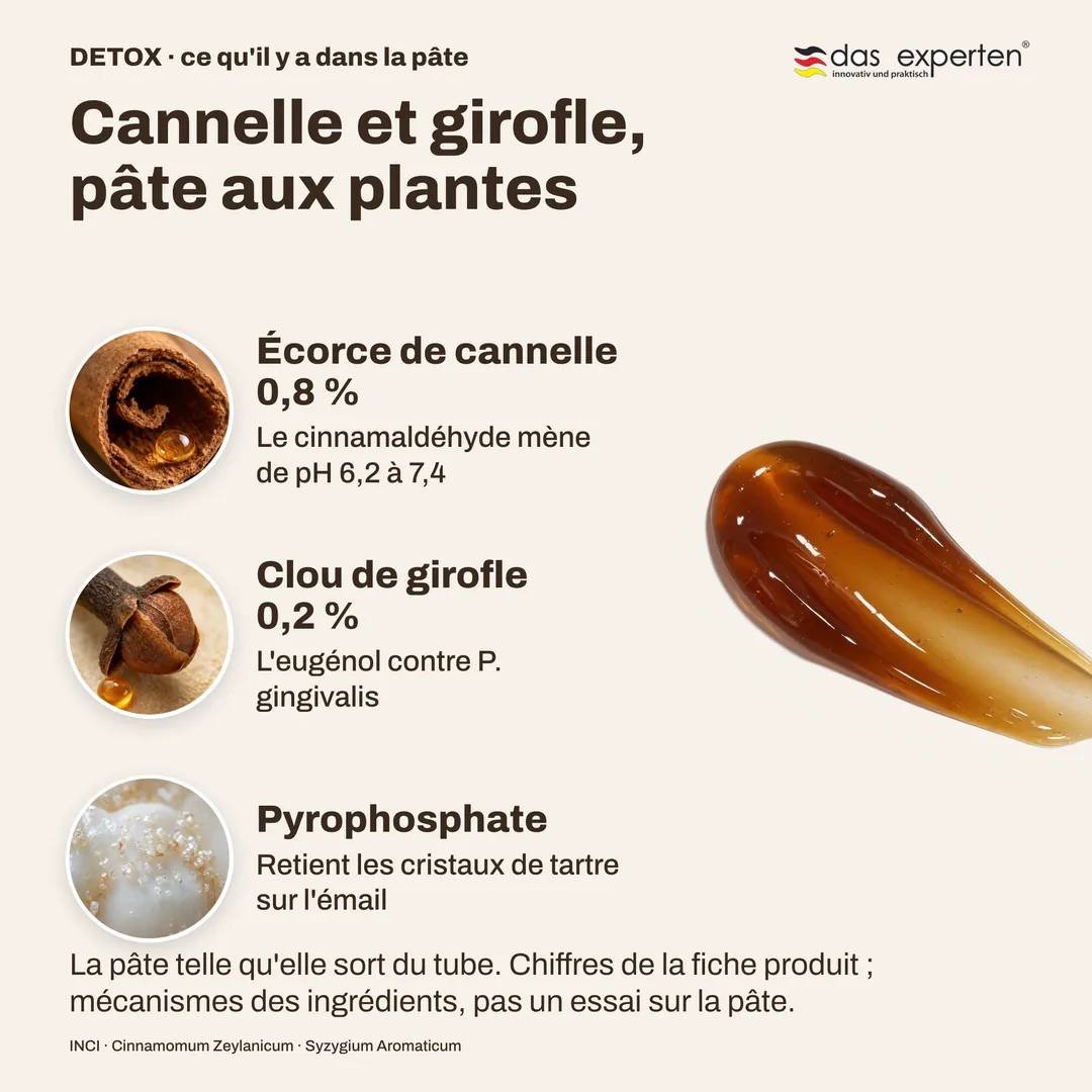 Cannelle et girofle, pâte aux plantes — Écorce de cannelle 0,8 %; Clou de girofle 0,2 %; Pyrophosphate
