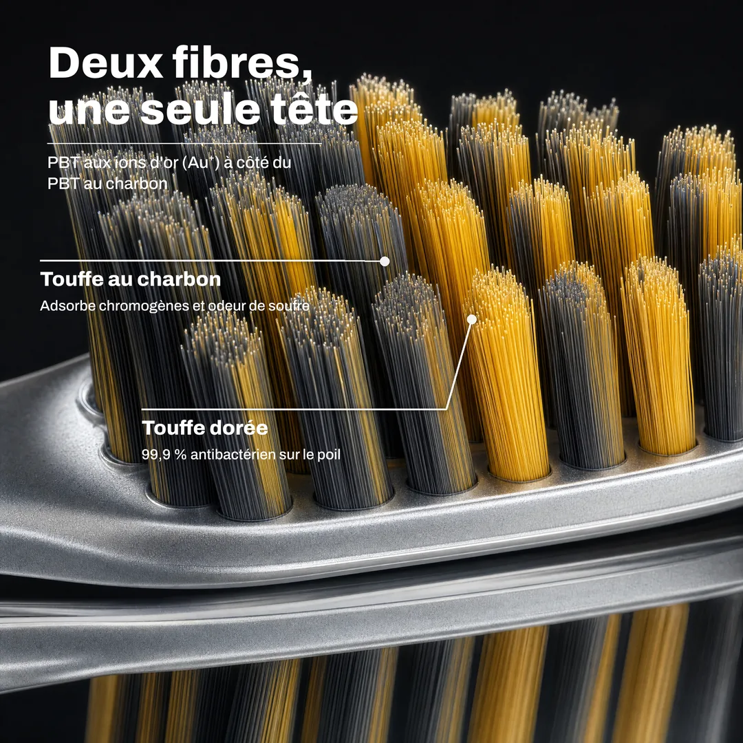 Deux fibres, une seule tête — PBT aux ions d'or (Au⁺) à côté du PBT au charbon · Touffe dorée: 99,9 % antibactérien sur le poil · Touffe au charbon: Adsorbe chromogènes et odeur de soufre