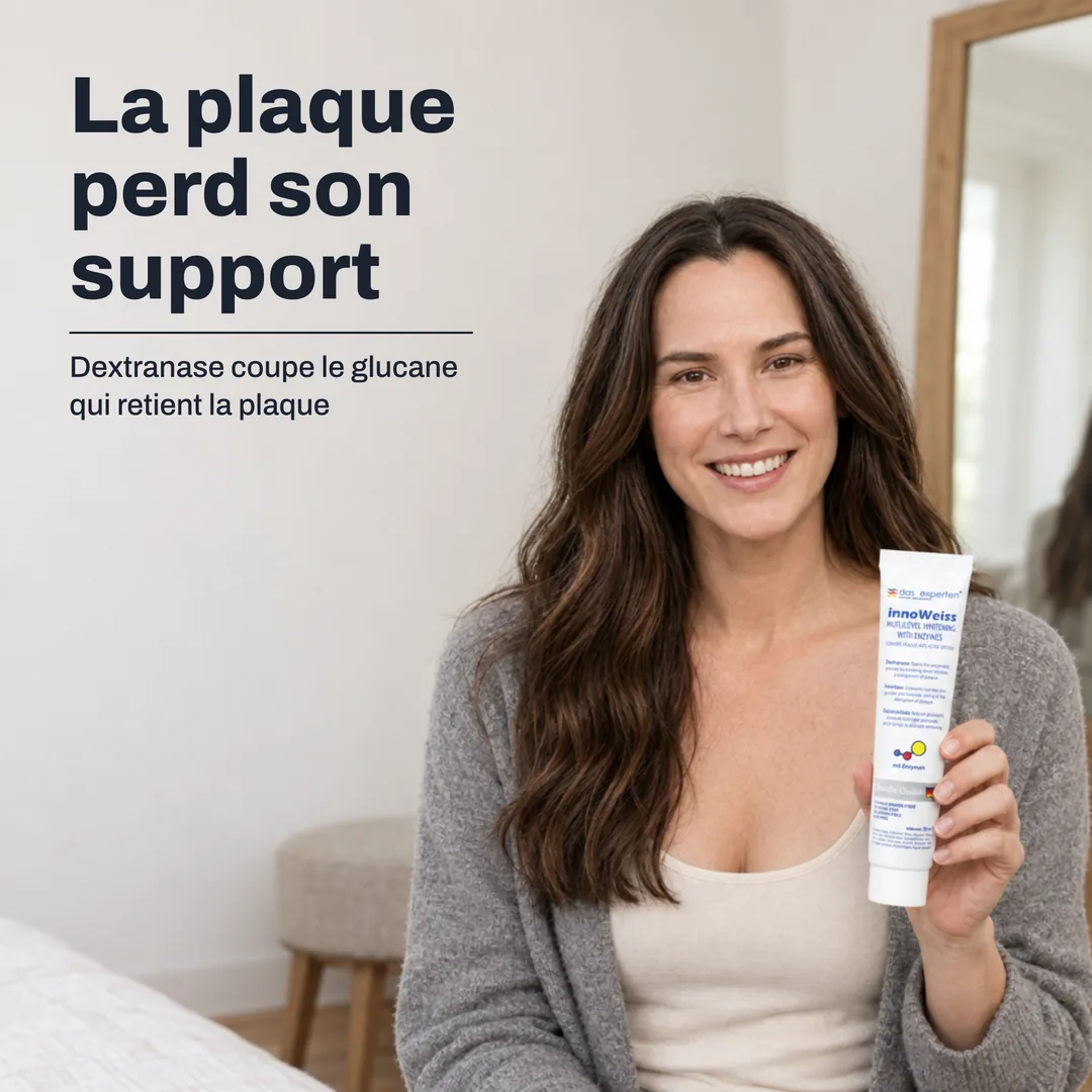 La plaque perd son support — Dextranase coupe le glucane qui retient la plaque