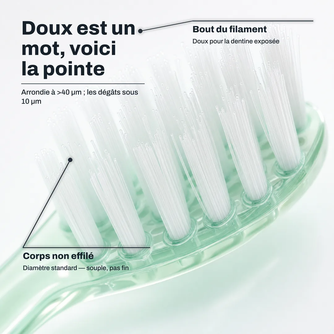 Doux est un mot, voici la pointe — Arrondie à >40 μm ; les dégâts sous 10 μm · Bout du filament: Doux pour la dentine exposée · Corps non effilé: Diamètre standard — souple, pas fin