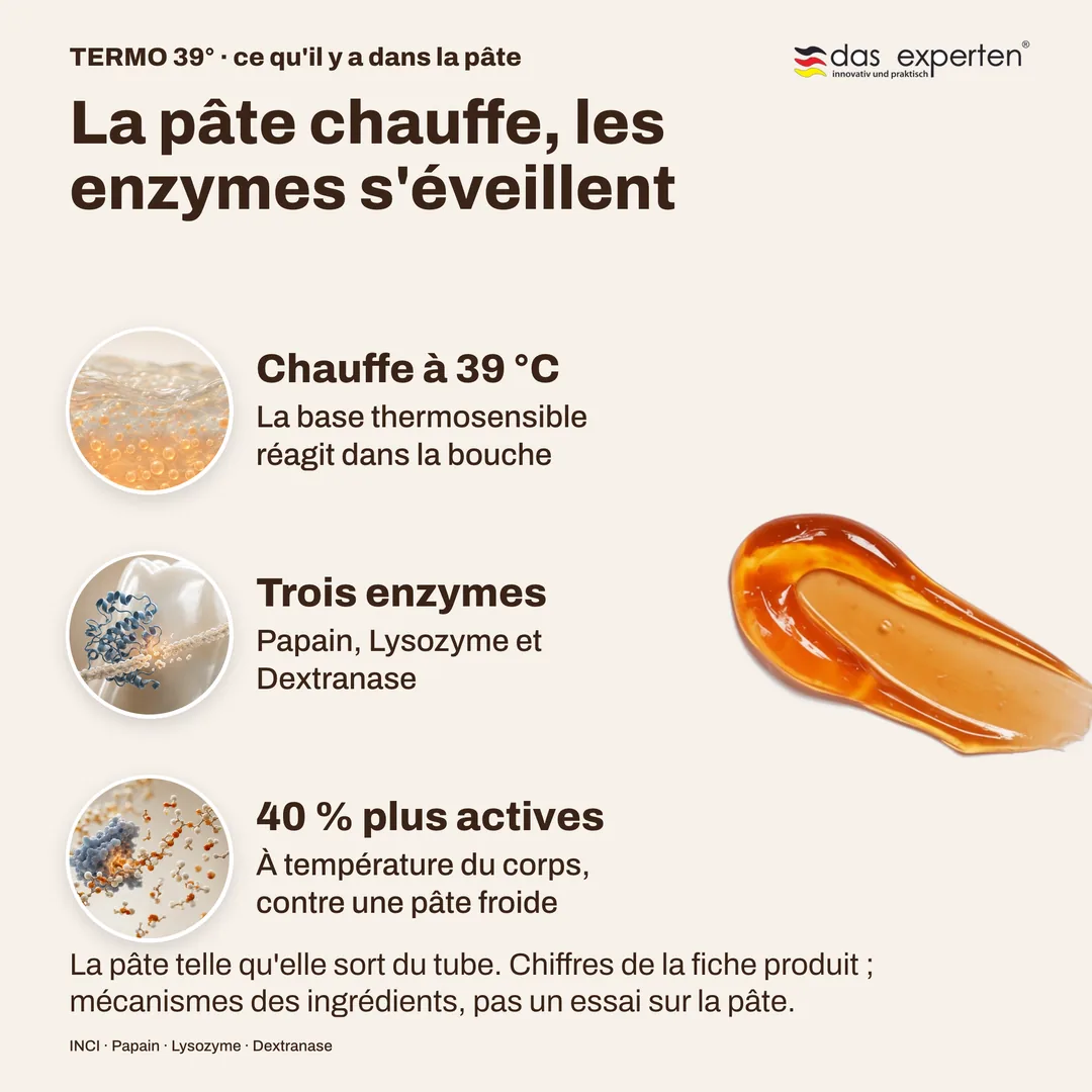 La pâte chauffe, les enzymes s'éveillent — Chauffe à 39 °C; Trois enzymes; 40 % plus actives