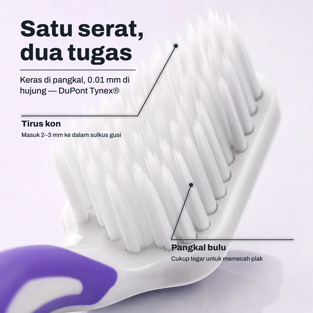 Satu serat, dua tugas — Keras di pangkal, 0.01 mm di hujung — DuPont Tynex® · Tirus kon: Masuk 2–3 mm ke dalam sulkus gusi · Pangkal bulu: Cukup tegar untuk memecah plak