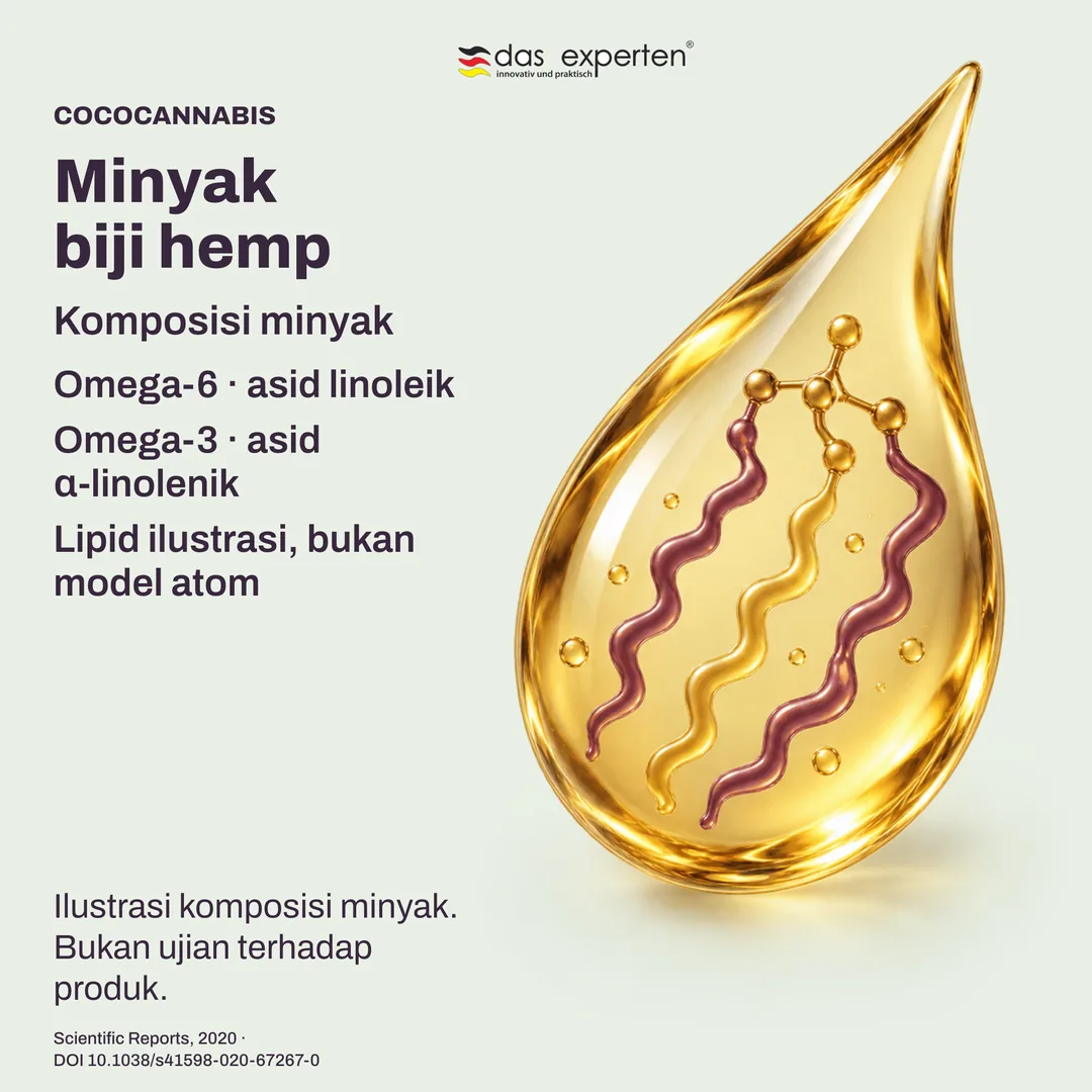Ilustrasi titisan minyak biji hemp dengan komponen omega-6 dan omega-3 dalam komposisi minyak