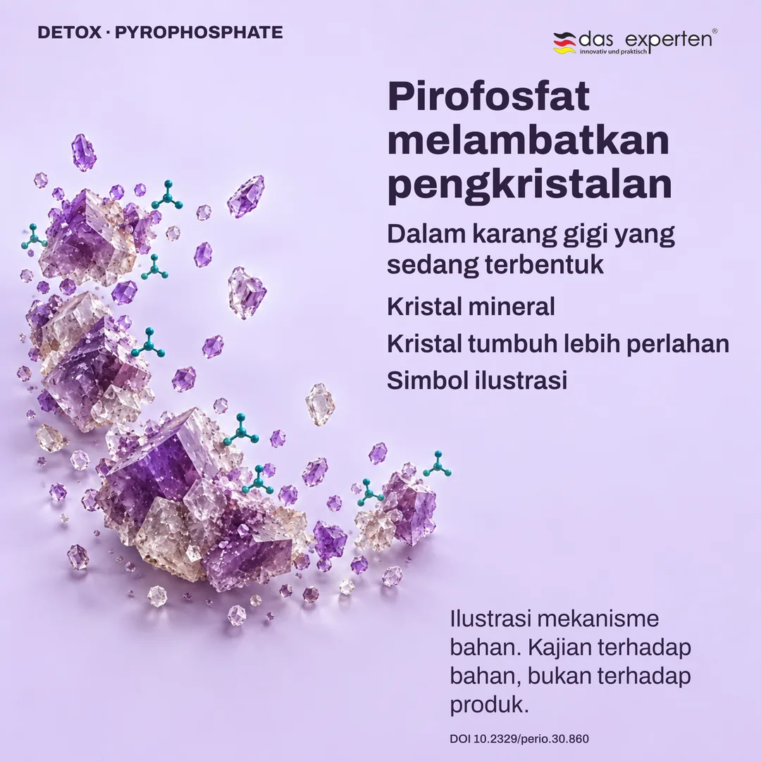 Ilustrasi kristal mineral dalam karang gigi yang sedang terbentuk: pirofosfat melambatkan pertumbuhan kristal