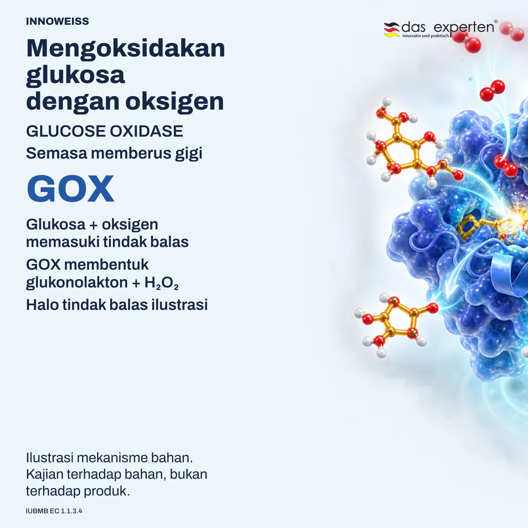 Ilustrasi glukosa oksidase menukar glukosa dan oksigen kepada glukonolakton dan hidrogen peroksida