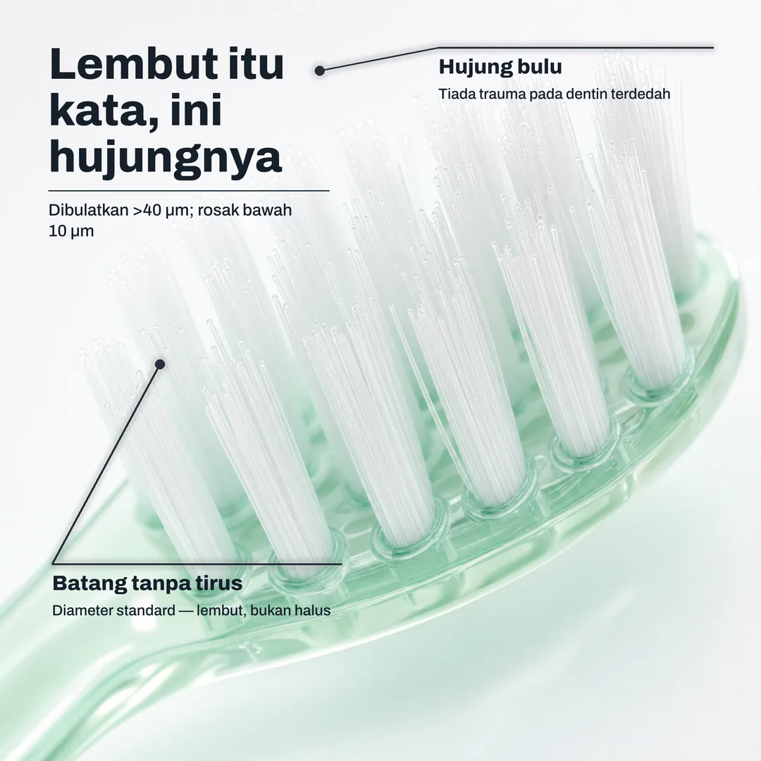 Lembut itu kata, ini hujungnya — Dibulatkan >40 μm; rosak bawah 10 μm · Hujung bulu: Tiada trauma pada dentin terdedah · Batang tanpa tirus: Diameter standard — lembut, bukan halus