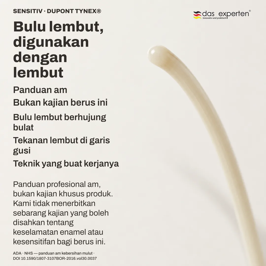 Kajian bulu berus: sehelai bulu lembut pada skala bukan sebenar, hujung bulat bukan potong, membengkok bukan melawan