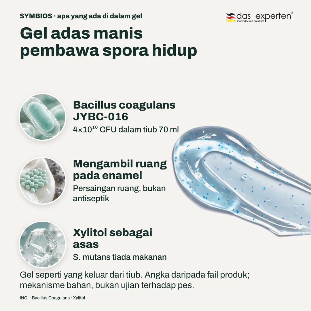 Gel adas manis pembawa spora hidup — Bacillus coagulans JYBC-016; Mengambil ruang pada enamel; Xylitol sebagai asas