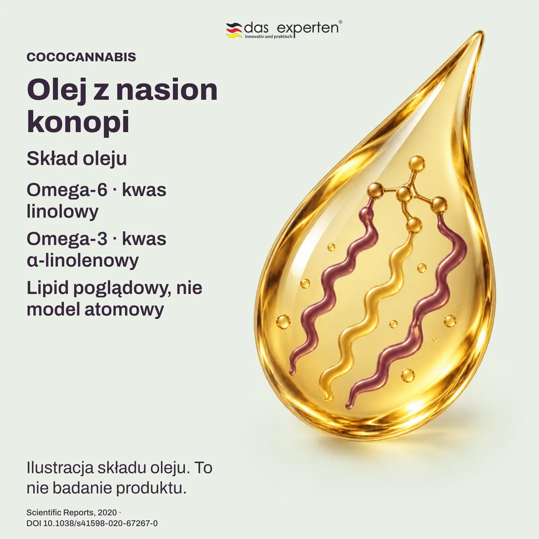 Poglądowe lipidy oleju z nasion konopi: kwas linolowy omega-6 i kwas α-linolenowy omega-3 w składzie oleju