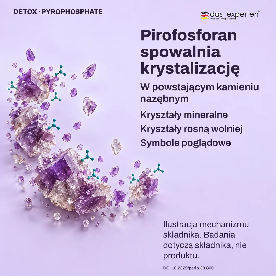 Ilustracja: kryształy mineralne w powstającym kamieniu nazębnym rosną wolniej z pirofosforanem