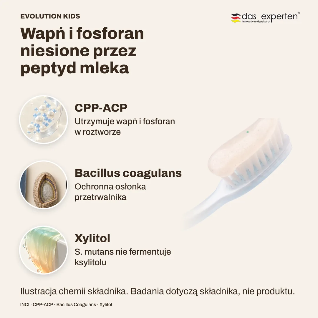Wapń i fosforan niesione przez peptyd mleka · Bacillus coagulans · Xylitol