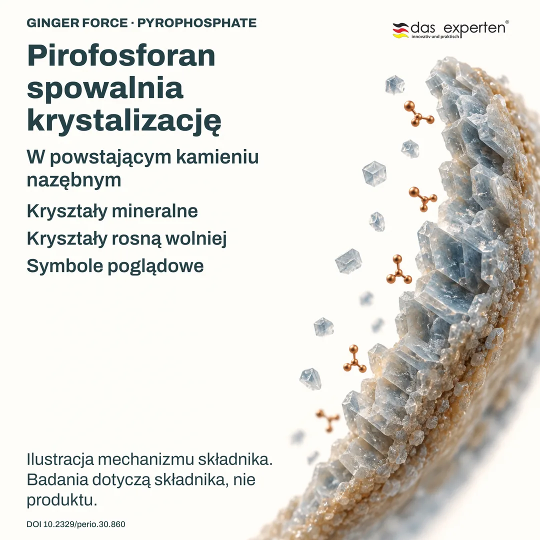 Ilustracja: kryształy mineralne w powstającym kamieniu nazębnym rosną wolniej z pirofosforanem