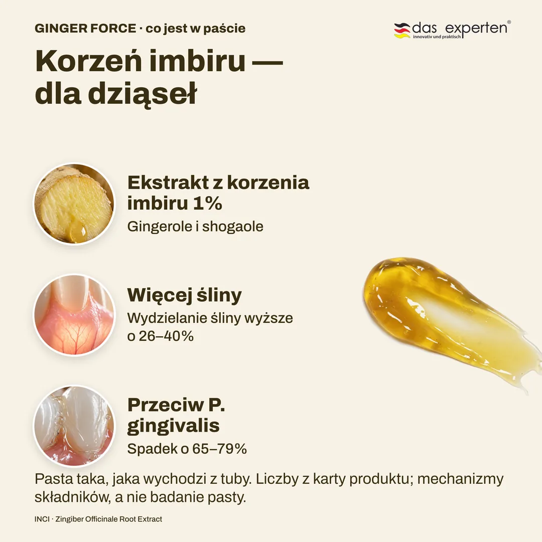 Korzeń imbiru — dla dziąseł — Ekstrakt z korzenia imbiru 1%; Więcej śliny; Przeciw P. gingivalis