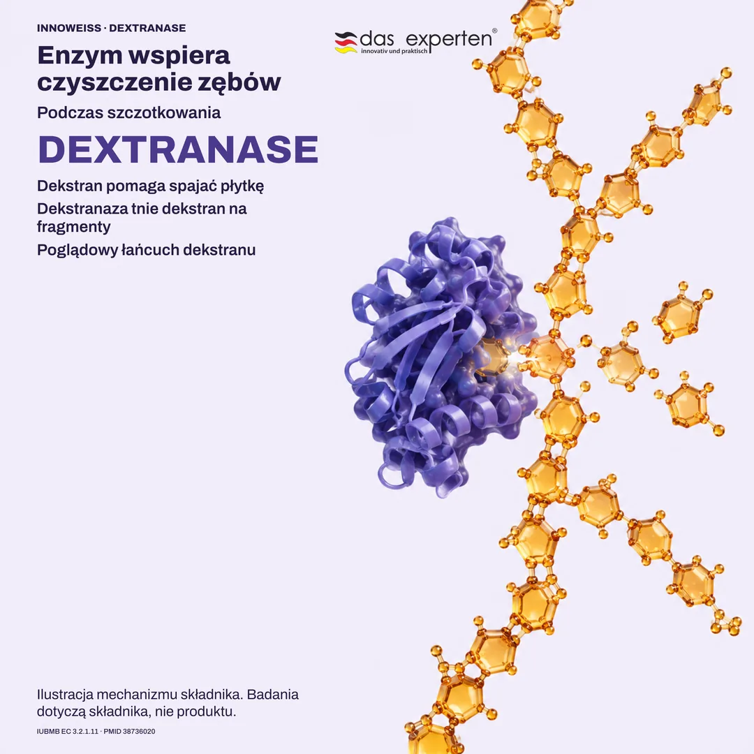 Ilustracja: dekstranaza tnie łańcuch dekstranu w płytce; enzym wspiera czyszczenie zębów podczas szczotkowania